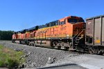 BNSF 5917 Roster shot.